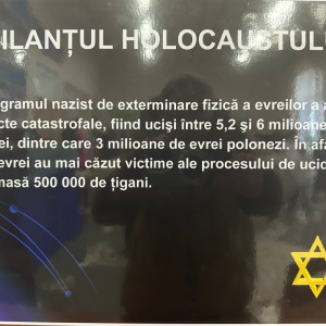 Activitate cu privire la Holocaust